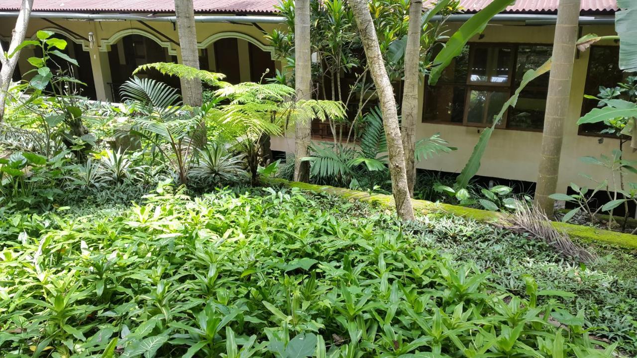 Centro Bajo Hotel & Resto Labuan Bajo Quarto foto